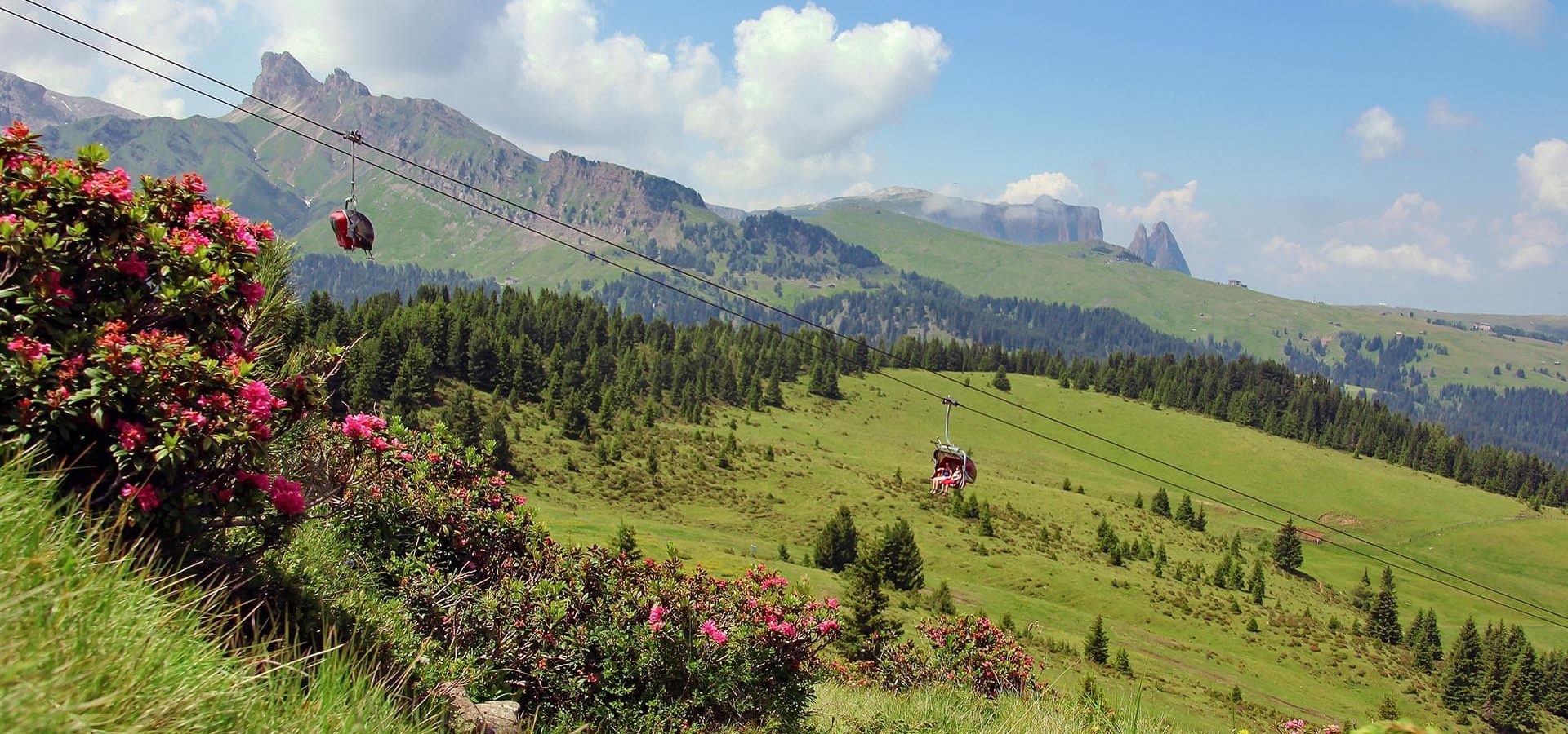 almhuette in suedtirol auf der seiser alm