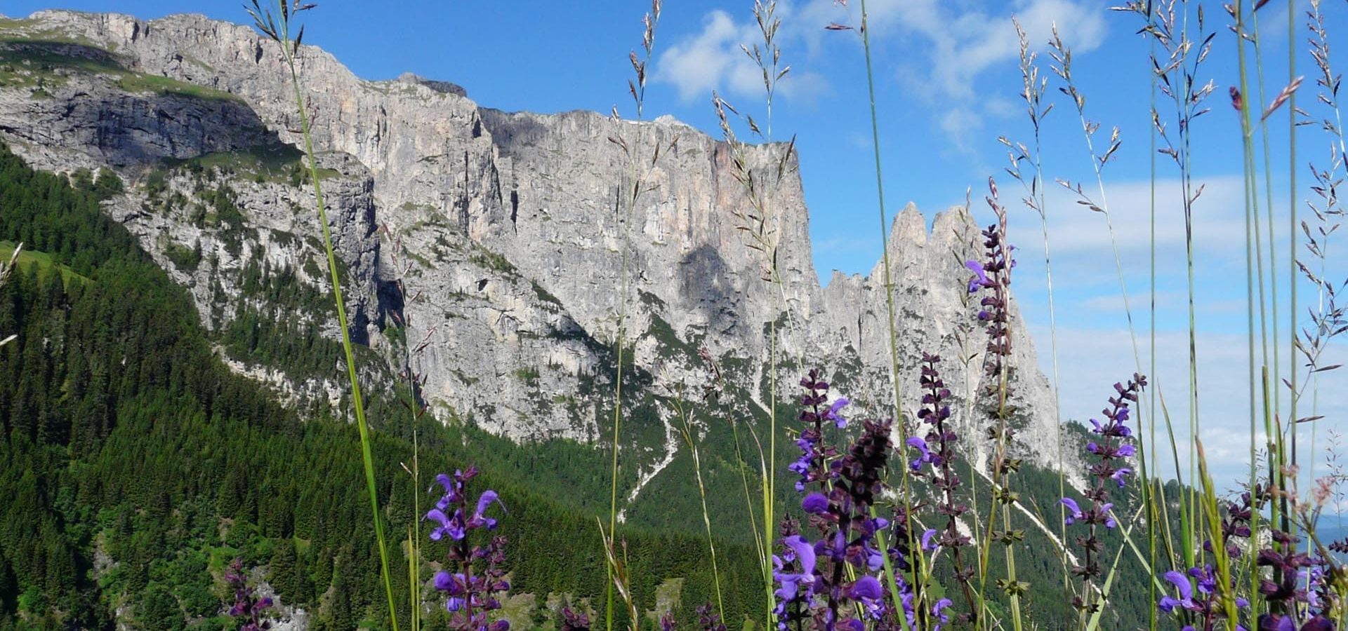 almhuette in suedtirol auf der seiser alm