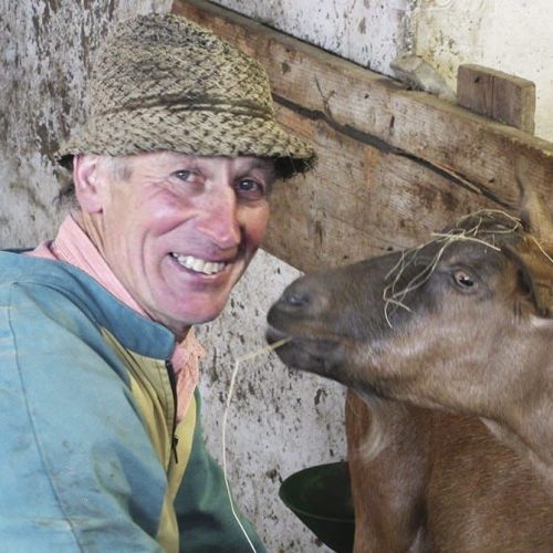 ausfluege rund um den bauernhof ronsol in suedtirol