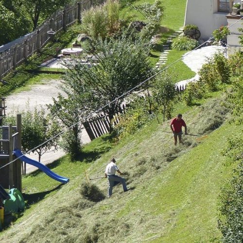 ausfluege rund um den bauernhof ronsol in suedtirol