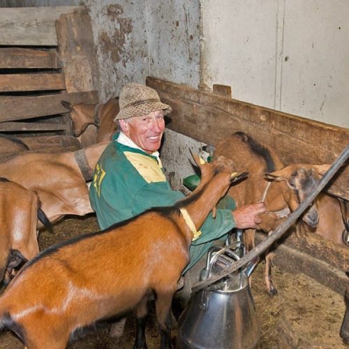 ausfluege rund um den bauernhof ronsol in suedtirol