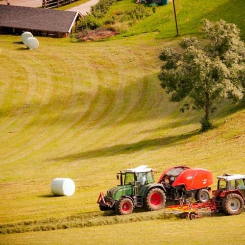 ausfluege rund um den bauernhof ronsol in suedtirol