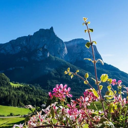 ausfluege rund um den bauernhof ronsol in suedtirol