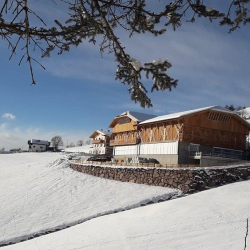 ausfluege rund um den bauernhof ronsol in suedtirol