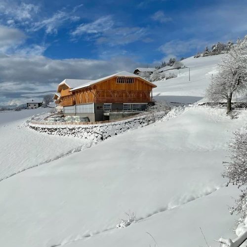 ausfluege rund um den bauernhof ronsol in suedtirol