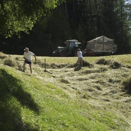 ausfluege rund um den bauernhof ronsol in suedtirol