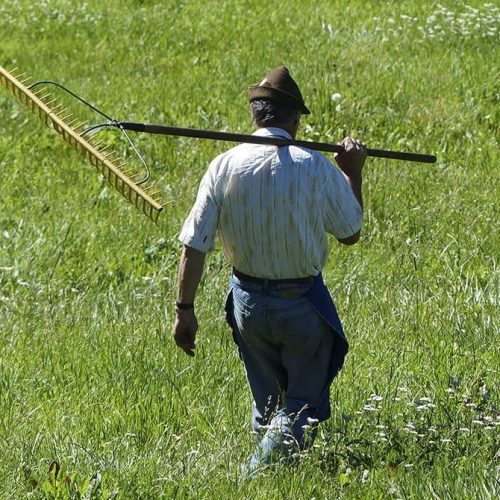 ausfluege rund um den bauernhof ronsol in suedtirol