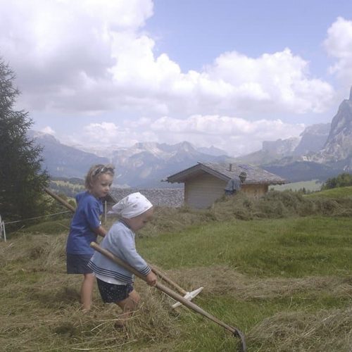 ausfluege rund um den bauernhof ronsol in suedtirol