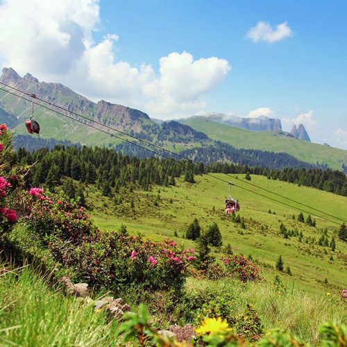 bergtouren rund um den bauernhof ronsol bei kastelruth