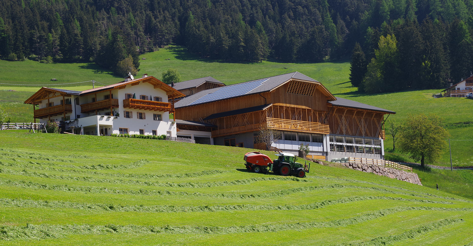 Our farm is a paradise for young explorers