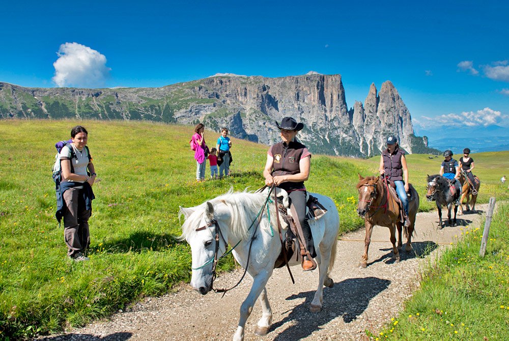 Up on horseback or have a go at “flying” yourself?