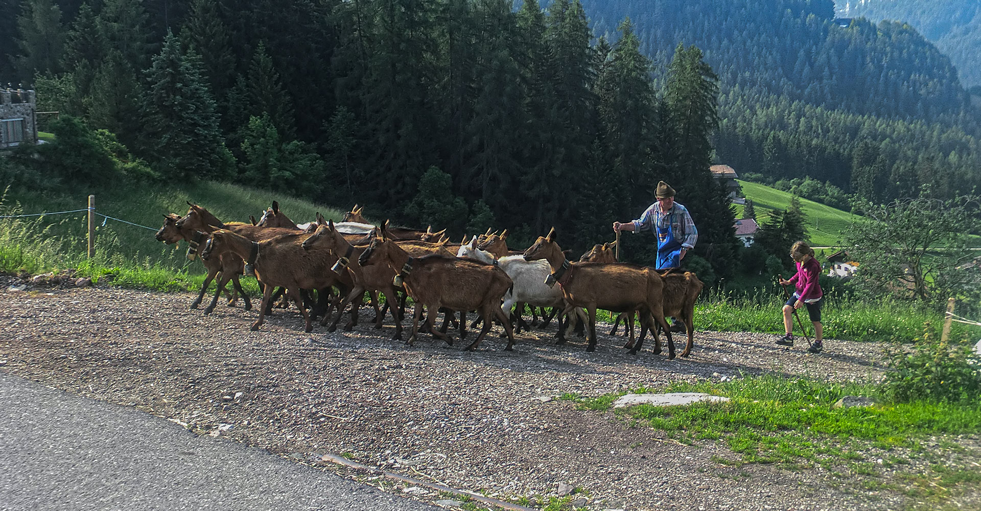 children vacations dolomites