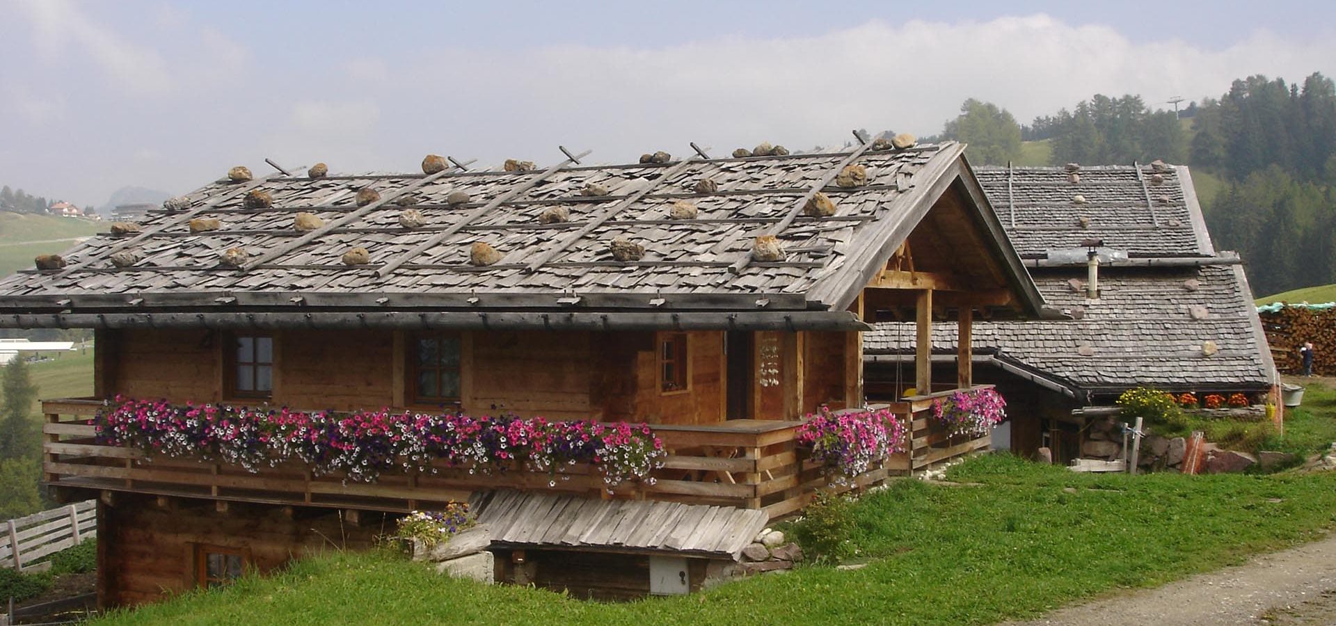 ronsolhof urlaub in den dolomiten auf dem bauernhof