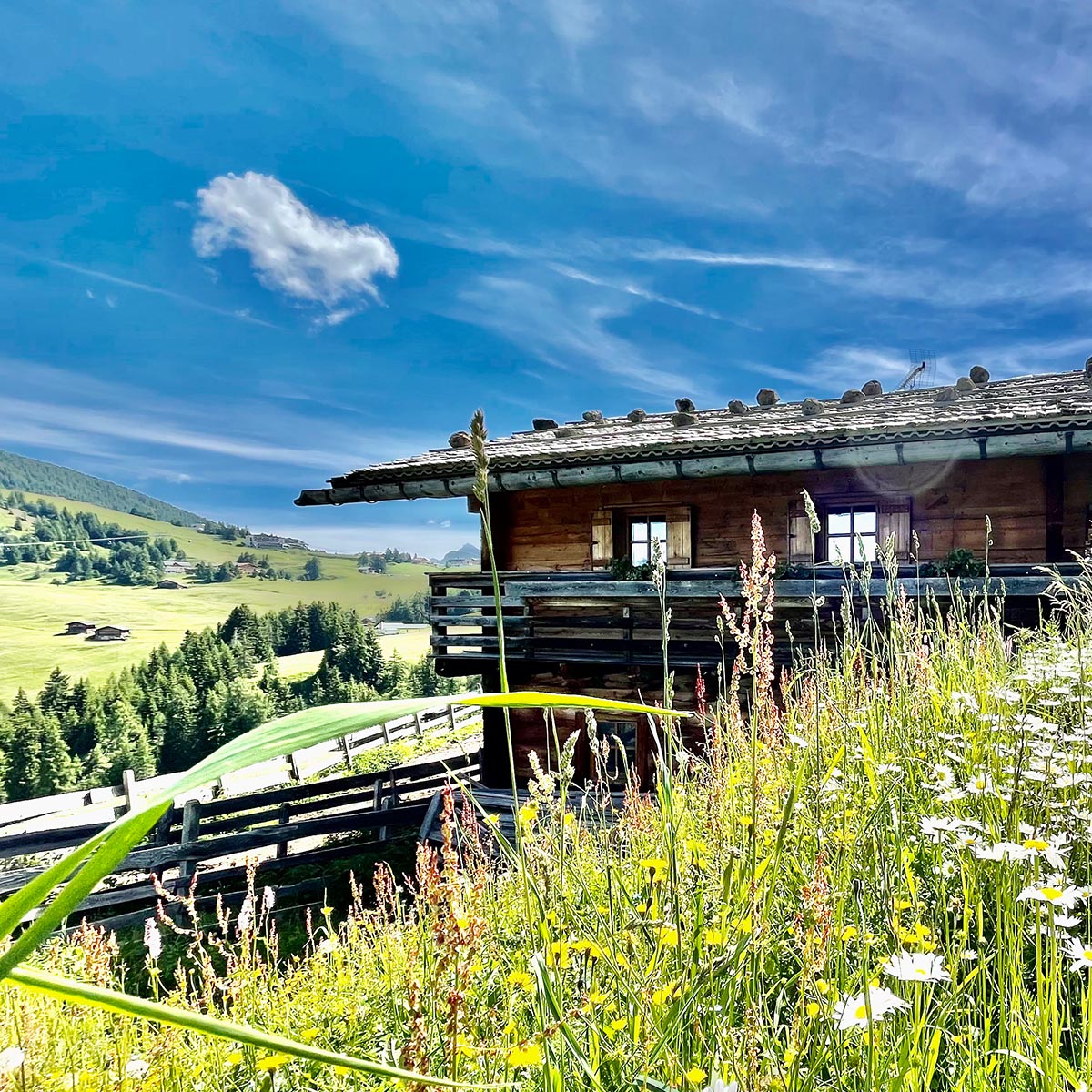 Kastelruth - Bauernhof - Ferienwohnungen - Seiser Alm