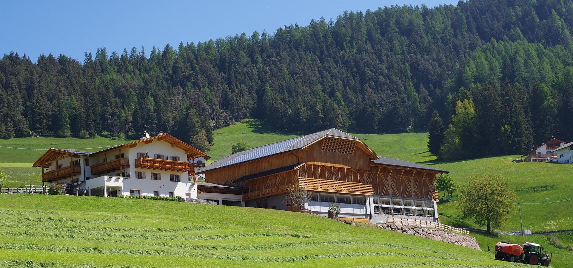 ronsolhof urlaub in den dolomiten auf dem bauernhof