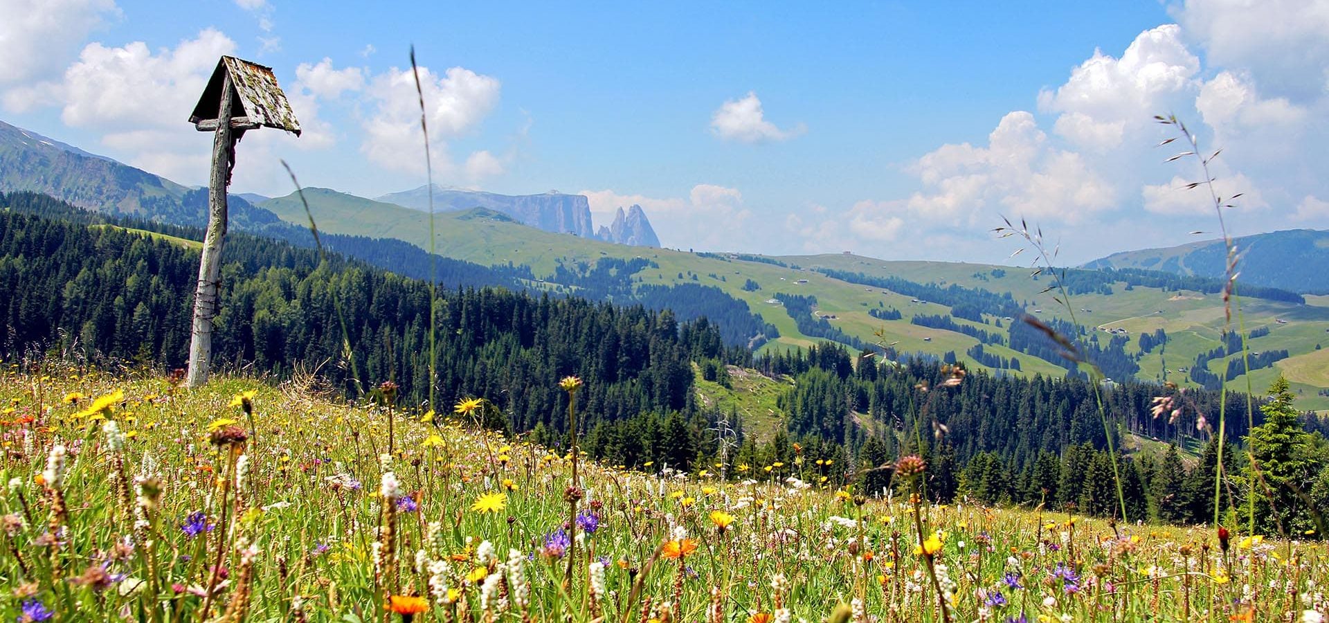 ronsolhof urlaub in den dolomiten auf dem bauernhof