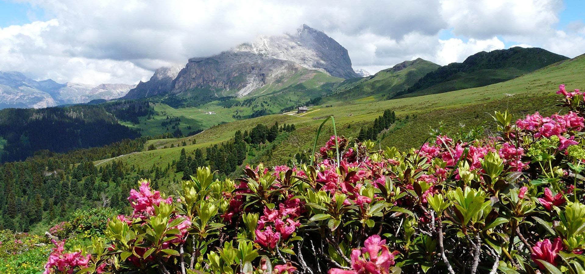 urlaub im fruehling in suedtirol dolomiten