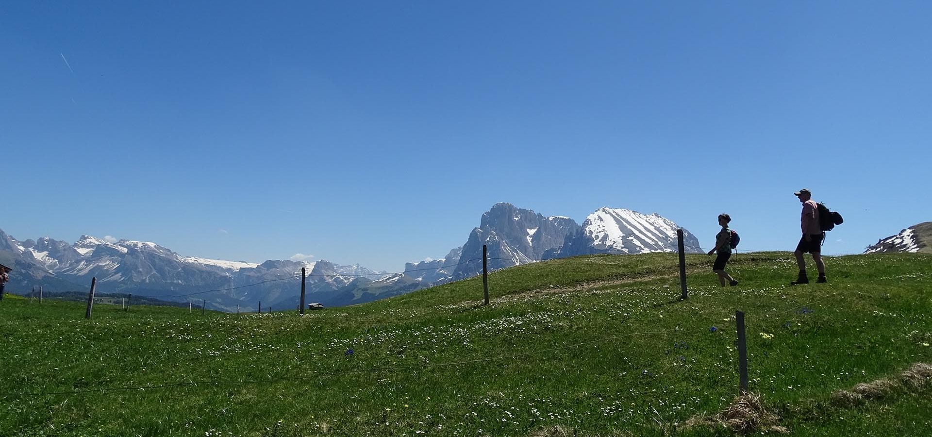 urlaub im fruehling in suedtirol