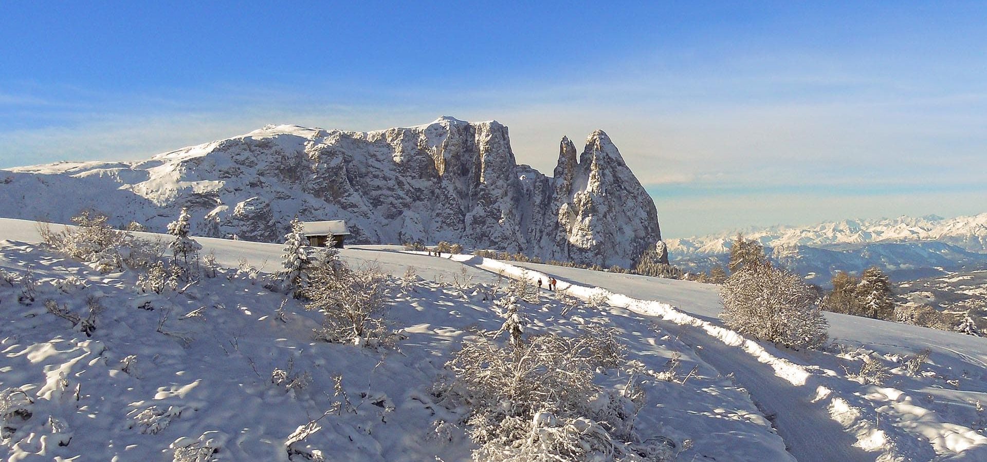 winterurlaub auf dem bauernhof ronsol in den dolomiten